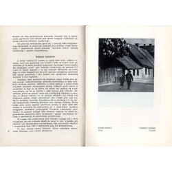 Przegląd Fotograficzny. Miesięcznik ilustrowany. Organ Fotoklubu Wileńskiego i Lwowskiego Towarzystwa Fotograficznego. R. 3 (193