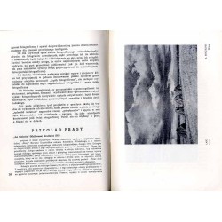 Przegląd Fotograficzny. Miesięcznik ilustrowany. Organ Fotoklubu Wileńskiego i Lwowskiego Towarzystwa Fotograficznego. R. 3 (193