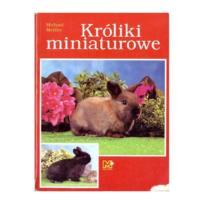 Króliki miniaturowe
