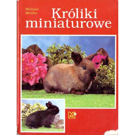 Króliki miniaturowe