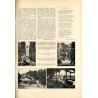 Tęcza. Ilustrowane pismo tygodniowe. R.2 (1928). Z. 27 (7 lipca 1928) / Stanisław Sawiczewski / Jerzy Kossowski / Zbigniew Prona