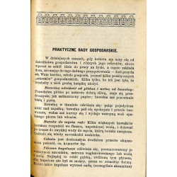 Noworocznik "Bławatka" 1913 (Bławatek. Kalendarzyk damski na rok 1913)