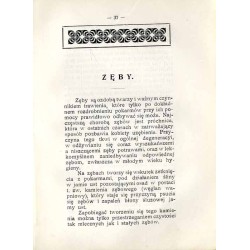 Noworocznik "Bławatka" 1913 (Bławatek. Kalendarzyk damski na rok 1913)