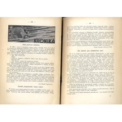 "Hejnał". Miesięcznik wiedzy duchowej. R. 11 (1939). Z. 5-6 (Maj-Czerwiec 1939)