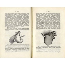 Nowe poglądy i teorye z zakresu anatomii porównawczej. Wstęp. Cz.1