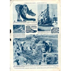 Ilustrowany Kurier Codzienny. Bezpłatny dodatek tygodniowy "Ilustrowanego Kuriera Codziennego" do nr 200. R.6 (1930). Nr 30 (286