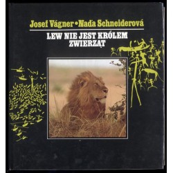 Lew nie jest królem zwierząt