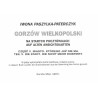Gorzów Wielkopolski na starych pocztówkach - auf alten Ansichtskarten. Cz.5: Miasto, którego już nie ma. Die Stadt, die nicht me