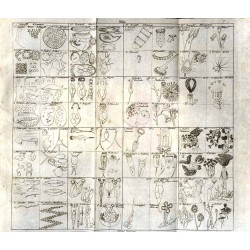 Lehrbuch der Naturgeschichte. 3. Theil: Zoologie. 1. Abt.: Fleischlose Thiere. Mit vierzig Kupfertafeln