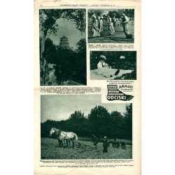 Ilustrowany Kurier Codzienny. Bezpłatny dodatek tygodniowy "Ilustrowanego Kuriera Codziennego" do nr 140. R.4 (1928). Nr 21 (171