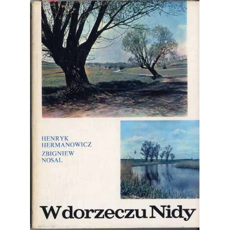 W dorzeczu Nidy