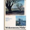 W dorzeczu Nidy