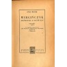 Wirgińczyk. Jeździec z równin. Powieść. T.2