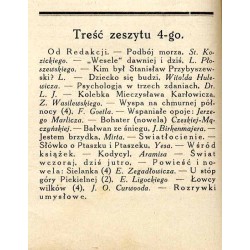 Tęcza. Ilustrowane pismo tygodniowe. R.1 (1927). Z. 4 (10 grudnia 1927) / Stefan Norblin / Ferdynand Goetel Islandia / Emil Zega