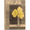 Tęcza. Ilustrowane pismo tygodniowe. R.4 (1930). Z. 46 (15 listopada 1930) / Jerzy Brzeziński / Cyprian Kamil Norwid / Korpus Ws