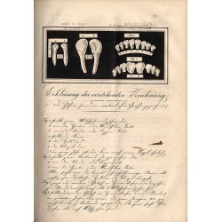 Beilage zu dem Verordnungsblatte für den Dienstbereich des österreichischen Finanzministeriums. Jahrgang 1855.  B.1-2. Nr 1-69
