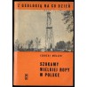 Szukamy wielkiej ropy w Polsce