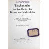 Taschenatlas der Krankheiten des Beeren und Schalenobstes