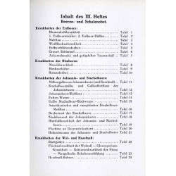 Taschenatlas der Krankheiten des Beeren und Schalenobstes