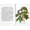 Taschenatlas der Krankheiten des Beeren und Schalenobstes