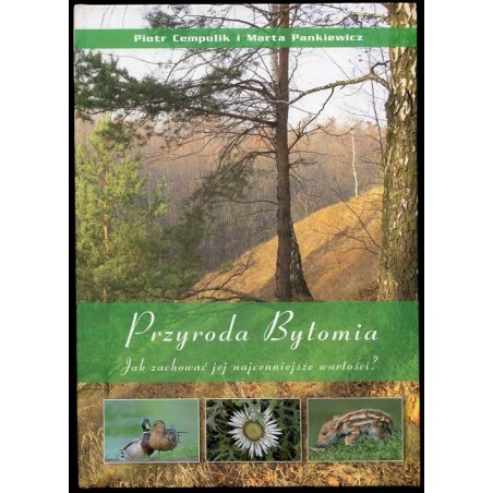 Przyroda Bytomia. Jak zachować jej najcenniejsze wartości?