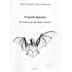 Przyroda Bytomia. Jak zachować jej najcenniejsze wartości?