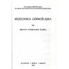 Oblicze literackie Śląska