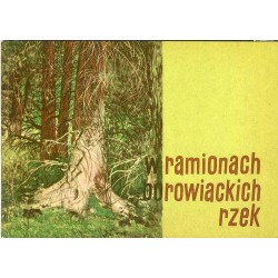 W ramionach borowiackich rzek