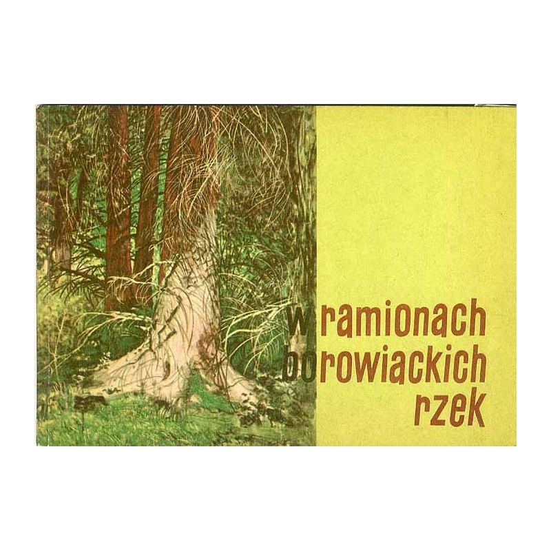 W ramionach borowiackich rzek