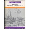 Elbląg. Przeszłość i teraźniejszość