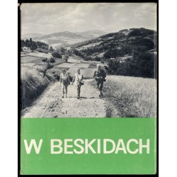 W Beskidach
