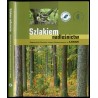 Szlakiem nadleśnictw Regionalnej Dyrekcji Lasów Państwowych w Łodzi