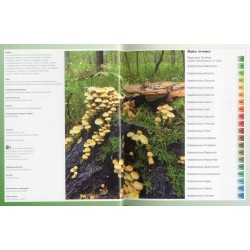 Szlakiem nadleśnictw Regionalnej Dyrekcji Lasów Państwowych w Łodzi