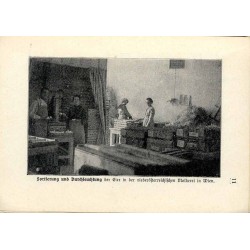Der Einfluß der Eierverwertungs-Genossenschaften