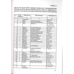 Informator statystyczny do dziejów społeczno-gospodarczych Galicji. Skauting polski w Galicji w latach 1911-1918