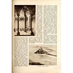 Tęcza. Ilustrowane pismo tygodniowe. R.3 (1929). Z. 49 (7 grudnia 1929) / Zbigniew Pronaszko / Dalki powiat Gniezno / Jawa Indon