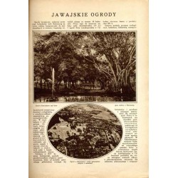 Tęcza. Ilustrowane pismo tygodniowe. R.3 (1929). Z. 49 (7 grudnia 1929) / Zbigniew Pronaszko / Dalki powiat Gniezno / Jawa Indon