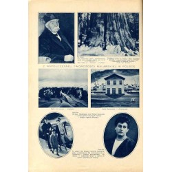 Tęcza. Ilustrowane pismo tygodniowe. R.3 (1929). Z. 49 (7 grudnia 1929) / Zbigniew Pronaszko / Dalki powiat Gniezno / Jawa Indon