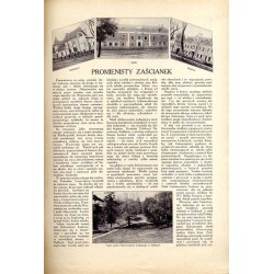 Tęcza. Ilustrowane pismo tygodniowe. R.3 (1929). Z. 49 (7 grudnia 1929) / Zbigniew Pronaszko / Dalki powiat Gniezno / Jawa Indon