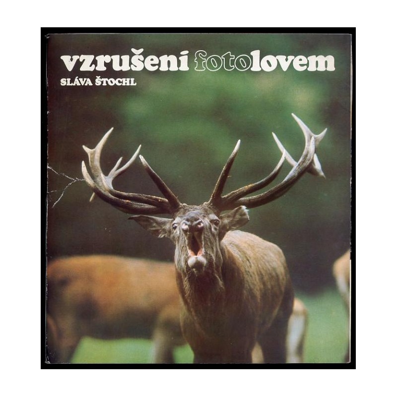 Vzrušeni fotolovem