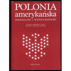 Polonia amerykańska. Przeszłość i współczesność