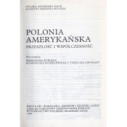 Polonia amerykańska. Przeszłość i współczesność