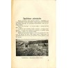 Kainit. Dwumiesięcznik poświęcony sprawie nawożenia i uprawy roli. (1933). Nr 2 (Marzec-Kwiecień 1933)