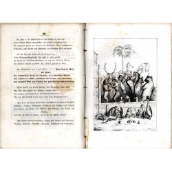 Das neunzehnte Jahrhundert des Thierreichs. Mit poetischen Einleitungen