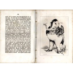 Das neunzehnte Jahrhundert des Thierreichs. Mit poetischen Einleitungen