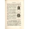 Die Insektenwelt. Ein Taschenbuch zu entomologischen Exkursionen für Lehrer und Lernende