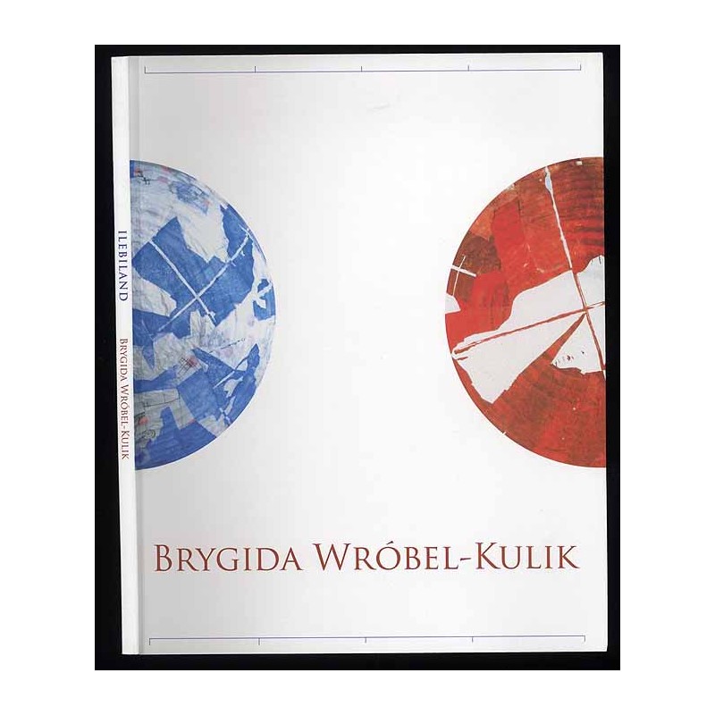 Brygida Wróbel-Kulik. Ilebiland. Galeria Sztuki Współczesnej BWA w Katowicach, 13/02-29/03/2009