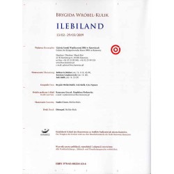 Brygida Wróbel-Kulik. Ilebiland. Galeria Sztuki Współczesnej BWA w Katowicach, 13/02-29/03/2009