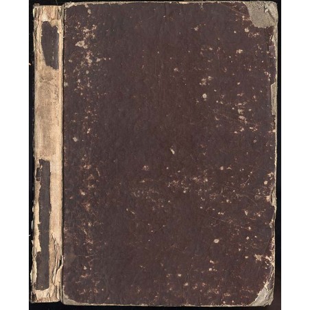 Abend-Zeitung auf das Jahr 1833. B.3 (1833). Nr 156-234 (VII-IX 1833)