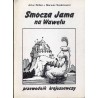 Smocza Jama na Wawelu. Przewodnik krajoznawczy